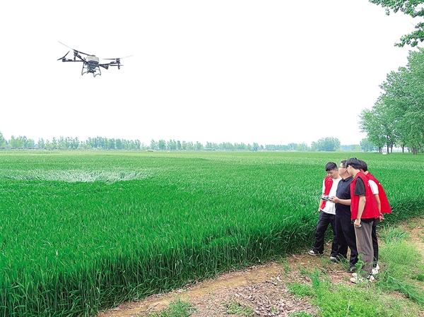 无人机“一喷三防”助力麦田管理