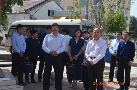 周口市人大代表视察我市农村人居环境 整治工作