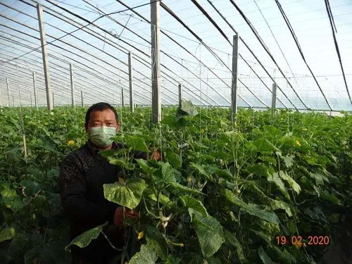 西华县奉母镇：“互联网+”让抗疫春耕两不误1.jpg