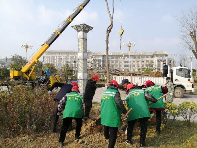 微信图片_20200304160131.jpg