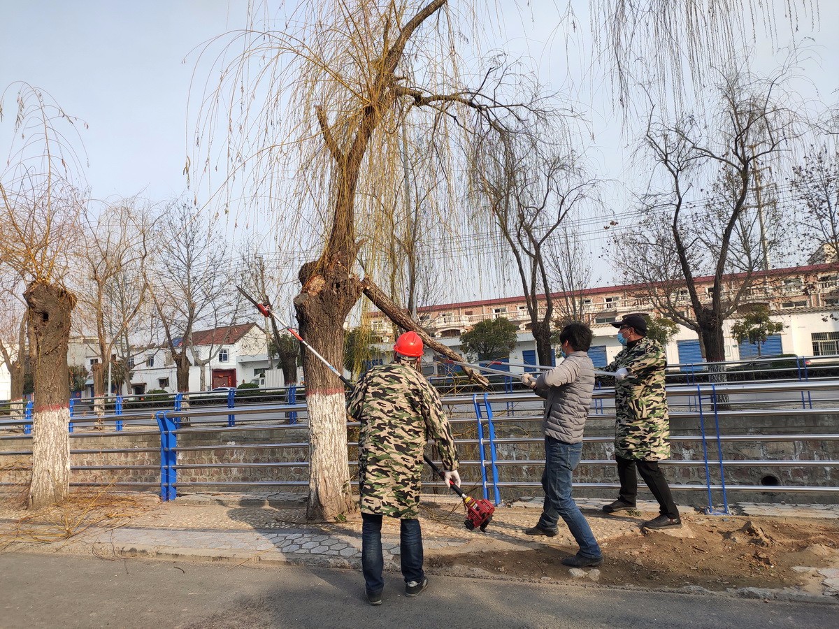 微信图片_20200304160148_调整大小.jpg