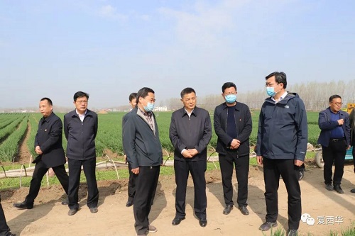 田庆杰督导调研高标准农田建设、非洲猪瘟防控和脱贫攻坚工作1.jpg