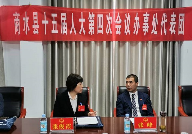 张峰张俊霞参加办事处代表团讨论