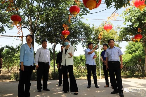 “乡村振兴看周口”网络媒体采风团首站走进西华1.jpg