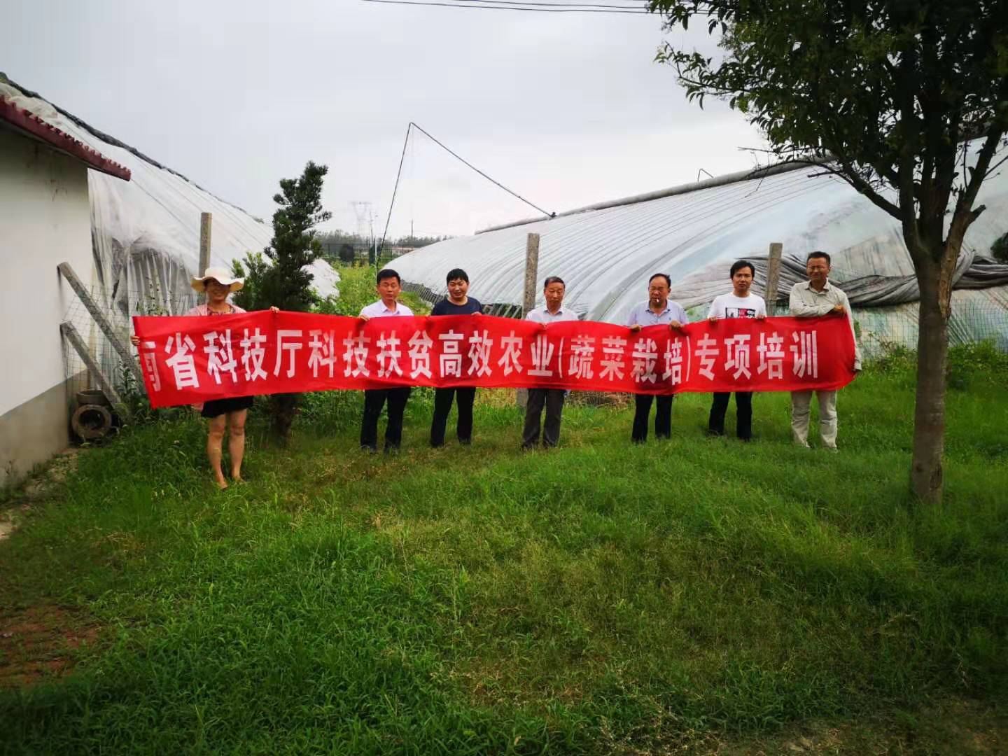 河南省科技特派员葛桂民赴淮阳开展科技服务