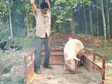 16.gif
