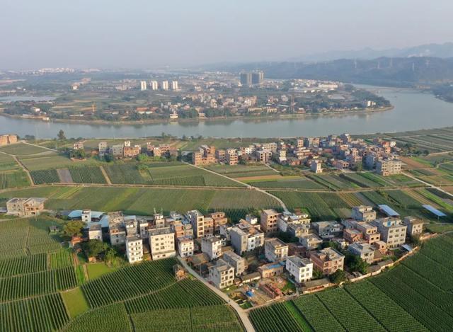 乡村产业振兴法1.jpg