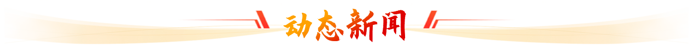 动态新闻