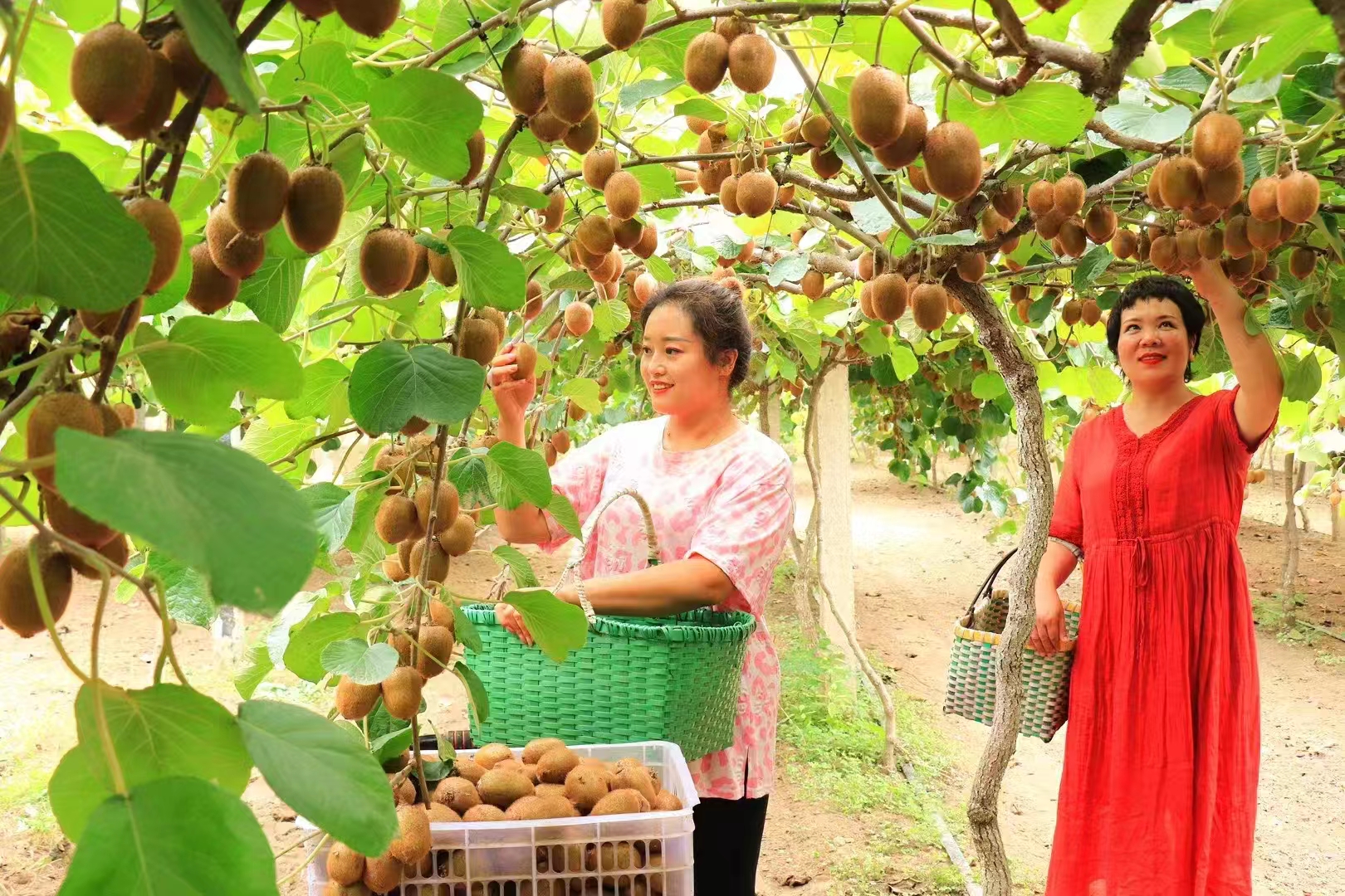 走进周口_周口市人民政府
